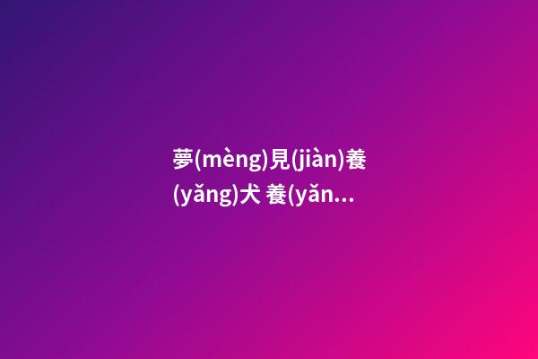 夢(mèng)見(jiàn)養(yǎng)犬 養(yǎng)狗　周公解夢(mèng)之夢(mèng)到養(yǎng)犬 養(yǎng)狗